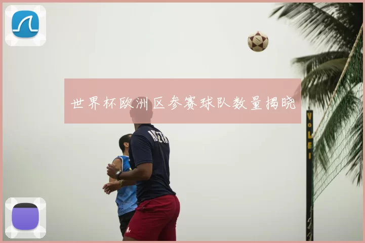 世界杯欧洲区参赛球队数量揭晓