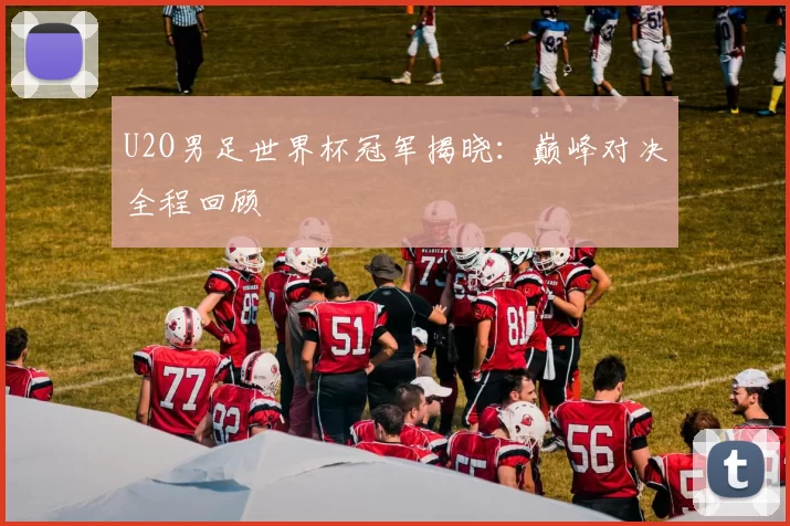 U2O男足世界杯冠军揭晓:巅峰对决全程回顾