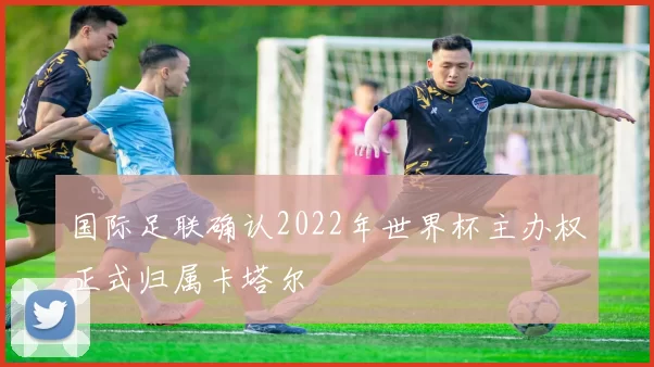 国际足联确认2022年世界杯主办权正式归属卡塔尔
