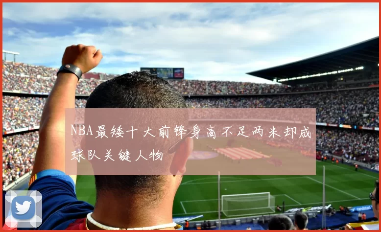 NBA最矮十大前锋身高不足两米却成球队关键人物