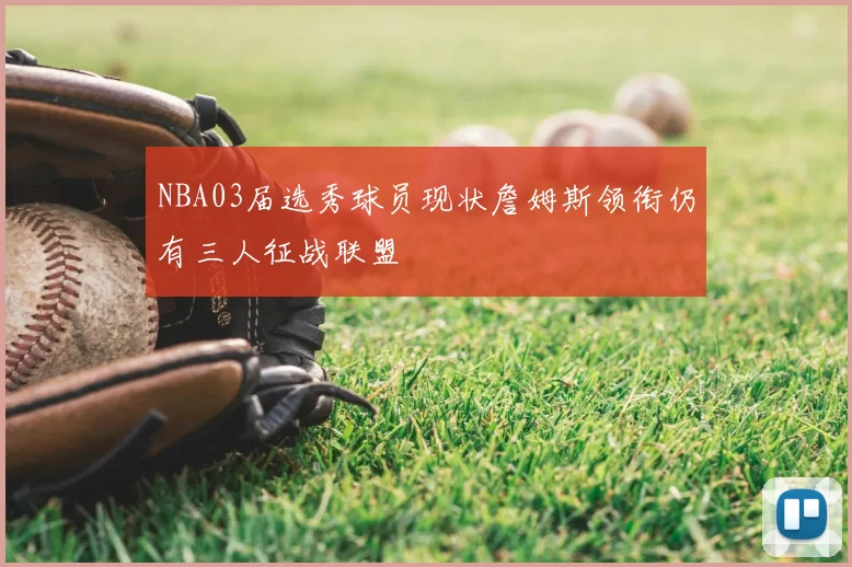 NBA03届选秀球员现状詹姆斯领衔仍有三人征战联盟