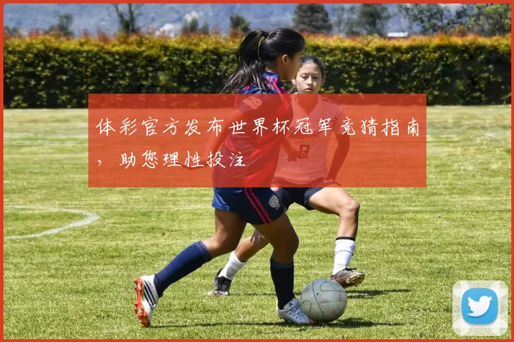 体彩官方发布世界杯冠军竞猜指南,助您理性投注