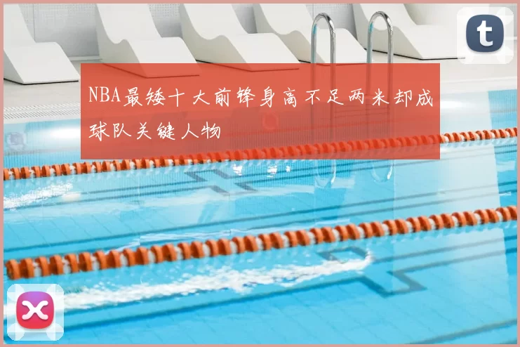 NBA最矮十大前锋身高不足两米却成球队关键人物