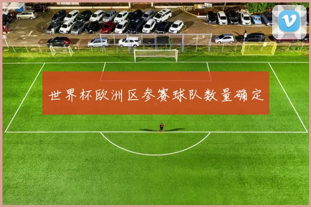 世界杯欧洲区参赛球队数量确定