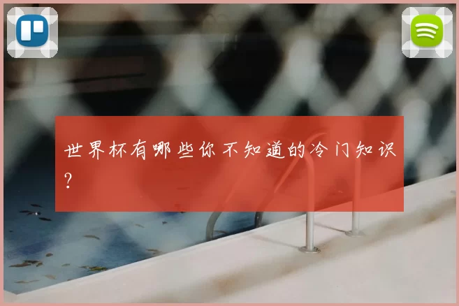 世界杯有哪些你不知道的冷门知识?