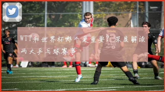 WTT和世界杯哪个更重要？深度解读两大乒乓球赛事