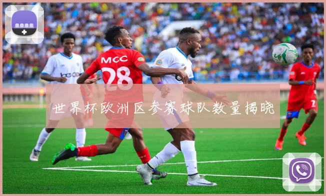世界杯欧洲区参赛球队数量揭晓