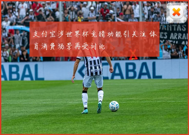 支付宝涉世界杯竞猜功能引关注 体育消费场景再受讨论