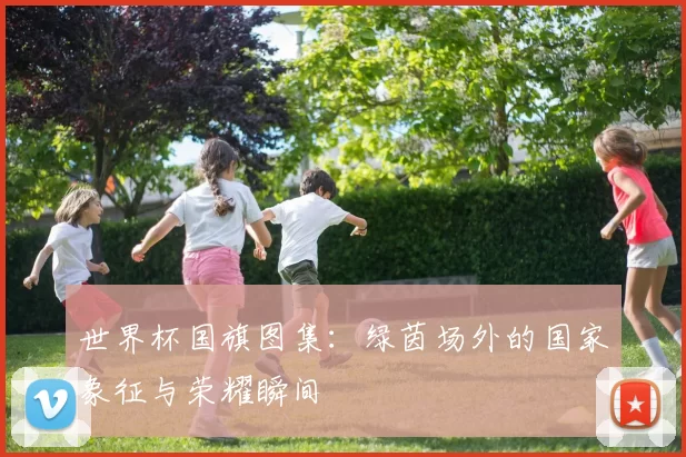 世界杯国旗图集：绿茵场外的国家象征与荣耀瞬间