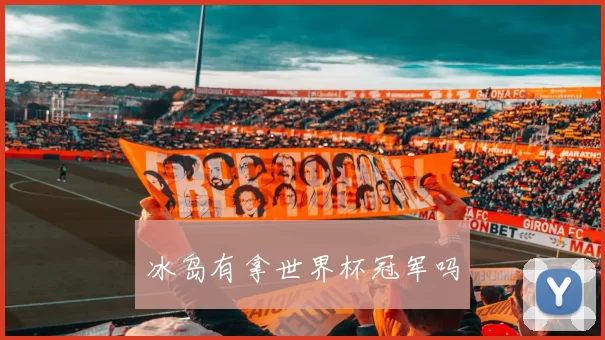 冰岛有拿世界杯冠军吗
