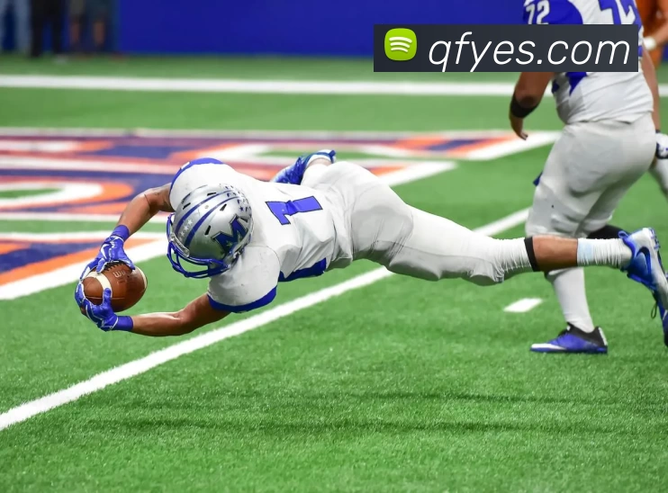 开云APP 高清赛事图